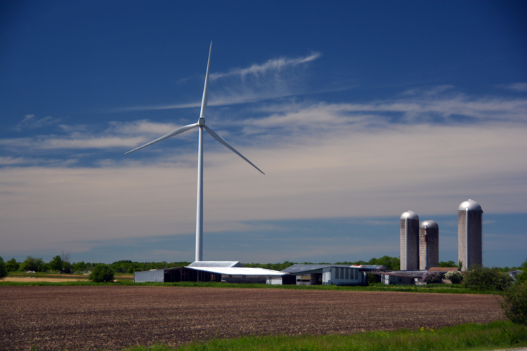windmills 